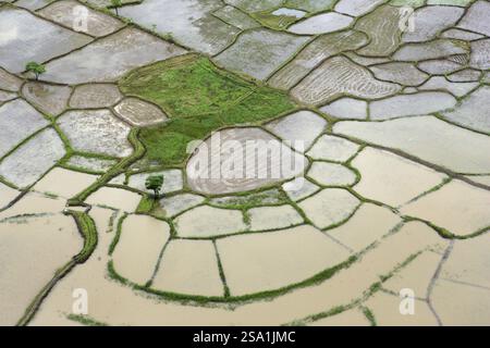 Eine Luftaufnahme von Ackerland, das von einer Wasserflut umgeben ist, schaukelte am 26. Juli 2005 in Raigad, Maharashtra, Indien Stockfoto