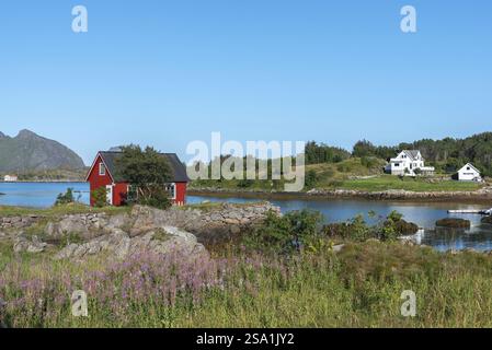 Blick über die Landschaft der Bucht von Skotnesosen mit einem traditionellen roten Fischerhaus, genannt Rorbu, Ballstad, Lofoten, Norwegen, Europa Stockfoto