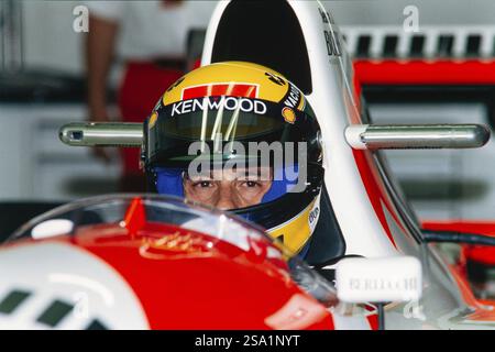 Rennfahrer Ayrton Senna, im Cockpit, Formel 1, Team McLaren Ford, McLaren MP4-8, Ford Cosworth HB 3,5 V8-Motor, Grand Prix von Deutschland beim hoc Stockfoto