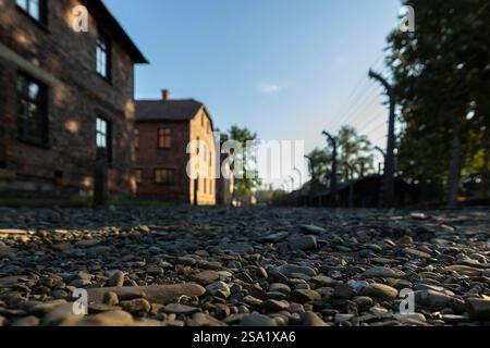 27.01.2025, Fotos der Gedenkstätte Auschwitz zum 80. Jahrestag der Befreiung des Konzentrationslagers, Lagerstraße im Stammlager des KL Auschwitz I, Foto: Dennis Ewert/RHR-FOTO Stockfoto