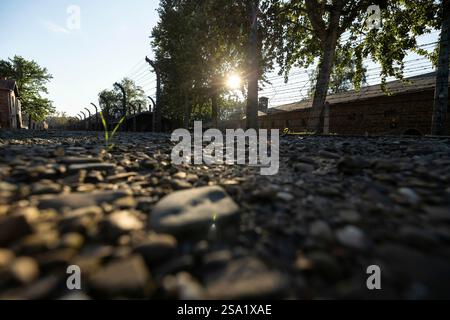 27.01.2025, Fotos der Gedenkstätte Auschwitz zum 80. Jahrestag der Befreiung des Konzentrationslagers, Lagerstraße im Stammlager des KL Auschwitz I, Foto: Dennis Ewert/RHR-FOTO Stockfoto