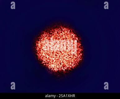 Koloriertes Transmissionselektronenmikroskop eines Hepatitis-C-Virions. Mikrografie mit freundlicher Genehmigung von Maria Teresa Catanese und Charles M. Rice, der Rockefeller University coloriert von NIAID. NIAID und Rockefeller University. Hepatitis C 016931 017 Stockfoto
