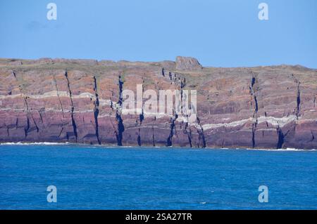 Die mehrfarbigen Falten des alten Sandsteinfelsens in der Nähe von St Annes Head, Milford Haven, in Pembrokeshire, South Wales, Großbritannien Stockfoto