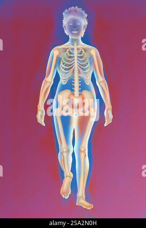 Skelett, Illustration. Stockfoto