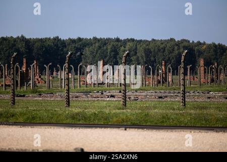 27.01.2025, Fotos der Gedenkstätte Auschwitz zum 80. Jahrestag der Befreiung des Konzentrationslagers, Blick auf die Ruinen des KL Auschwitz II Birkenau, Foto: Dennis Ewert/RHR-FOTO Stockfoto