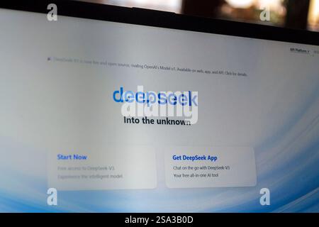 Das chinesische Unternehmen Hangzhou DeepSeek Open-Source-App für große Sprachmodelle am 28. Januar 2025 in Prag, Tschechische Republik. Stockfoto