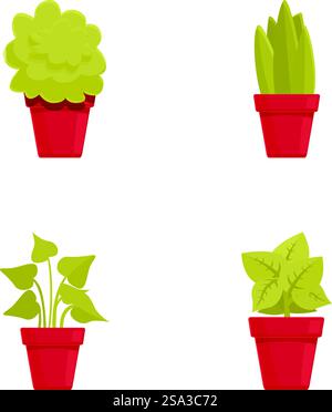 Sammlung von vier farbenfrohen Vektorillustrationen von Topf Zimmerpflanzen, perfekt für Dekor. Set von Zimmerpflanzen in Töpfen Illustration Stock Vektor