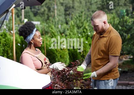 Seitenansicht einer afroamerikanischen Markthelferin, die männlichen Kunden über Pflanzenpflege berät und dabei hilft, im sonnenbeleuchteten Gartencenter, Kopierraum, Sträucher in den Kofferraum zu laden Stockfoto