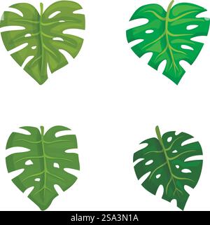 Sammlung von vier unterschiedlich gestalteten Monstera deliciosa-Blättern im Vektorformat. Tropische Monstera Blätter Vektorset Stock Vektor