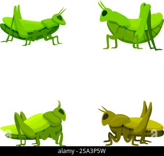 Farbenfrohe Zeichentrickschnuppen-Illustrationen mit mehreren verspielten und fröhlichen Insektenfiguren in verschiedenen Grün. Niedlich. Und animierte Vektorpositionen und -Haltungen auf weißem Hintergrund. Sammlung von vier stilisierten Zeichentrick-Grashüpfer-Bildern in verschiedenen Posen auf weißem Hintergrund Stock Vektor