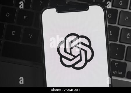 Slowenien, Ljubljana - 28. Januar 2025: OpenAI-Logo wird auf dem Smartphone-Bildschirm angezeigt Stockfoto