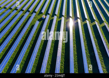 Luftaufnahme über blaue Solarpaneele des Photovoltaik-Kraftwerks / Solarparks zur Stromversorgung Stockfoto
