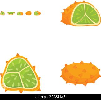 Farbenfrohe und lebendige Zitrusfrucht-Vektor-Set mit Kiwano. Kalk. Und andere tropische Früchte für gesunde. Organisch. Und vegetarische Designs. Perfekt für kulinarische Zwecke. Landwirtschaft. Und nährstoffbezogene Projekte. Sammlung von Illustrationen tropischer Früchte mit verschiedenen Ansichten von Kiwanos und Limetten Stock Vektor