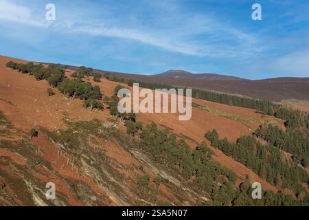 Blick auf das Glendalough-Tal mit Mullaghcleevaun in der Ferne in Co. Wicklow, Irland Stockfoto