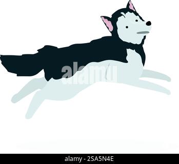 Der sibirische Husky-Hund springt durch die Luft. Sibirischer Husky-Hund springt schnell Stock Vektor