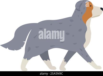 Illustration eines australischen Hirtenhundes, der mit dem Kopf nach oben geht. Australischer Schäferhund, Seitenansicht Stock Vektor