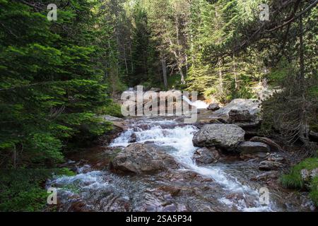 Bergfluss im Wald der Pyrenäen in Frankreich Stockfoto