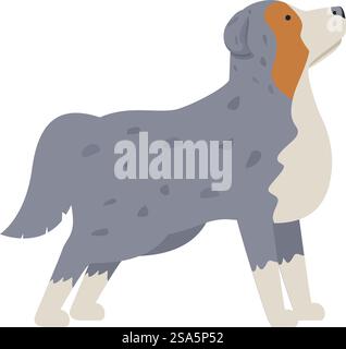 Illustration eines australischen Schäferhundes, stehend und aufblickend, in einer Seitenansicht. Australischer Schäferhund, der nach oben blickt Stock Vektor