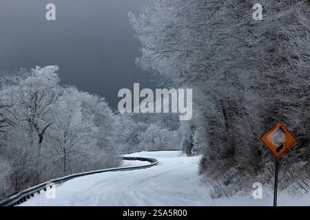 Durch die Windschutzscheibe der kurvigen, schneebedeckten Straße, die vor dem Roan Mountain in den Blue Ridge Mountains in Tennessee führt. Stockfoto