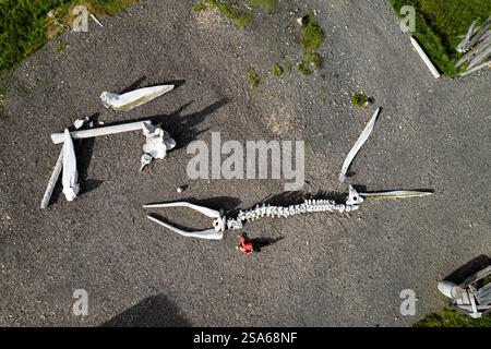 Vogelperspektive von oben nach unten auf das große Walskelett auf Kiesellandschaften Wikingerdorf im atemberaubenden Stokksnes in Island Stockfoto
