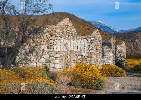 Mission Creek Preserve, Colorado Desert, Kalifornien Stockfoto