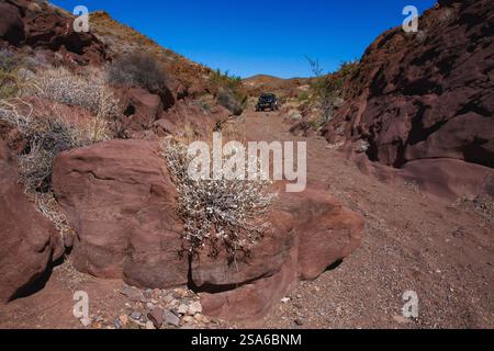 Ausgewiesener Jeep Trail mit Blick auf die Orocopia Mountain Wilderness Area, Colorado Desert, Kalifornien Stockfoto