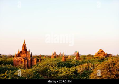 Atemberaubende Aussicht auf die Landschaft mit Tausenden von historischen buddhistischen Pagoden und Stupas in Bagan Myanmar Stockfoto