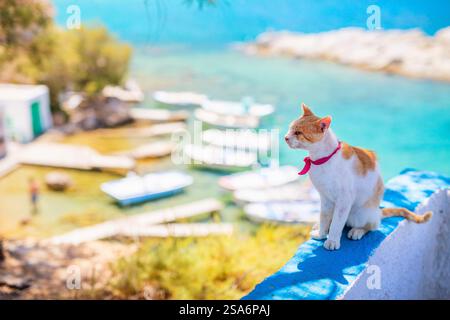 Rote und weiße Katze, die draußen sitzt und das Fischerdorf Mandrakia auf der Insel Milos in Griechenland überblickt Stockfoto