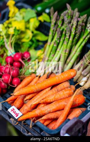 Nahaufnahme von frischen Bio-Karotten auf dem Markt im Freien Stockfoto