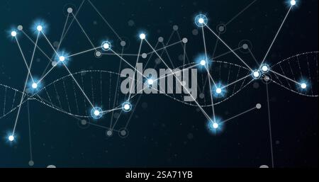 Bild eines leuchtend weißen Netzwerks von Verbindungen über dna-Strang auf schwarzem Hintergrund Stockfoto