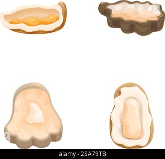 Sammlung verschiedener Illustrationen von Austernmuscheln und Vektorgrafiken, die verschiedene marineminisierte Darstellungen von Muschelmuscheln darstellen. Muscheln. Und ozeanische Elemente. Perfekt für Meeresfrüchte. Vektorsatz mit vier detaillierten Austernschalen in verschiedenen Formen auf weißem Hintergrund Stock Vektor