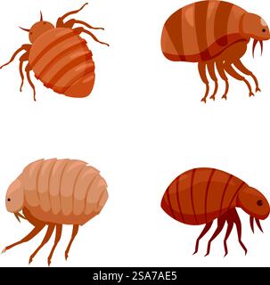 Vier stilisierte Zeichentrickdarstellungen von Bettwanzen isoliert auf weißem Hintergrund, geeignet für Lehrmaterialien. Set von Zeichentrickbettwanzen Illustration Stock Vektor