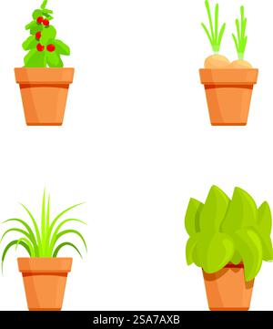 Sammlung von vier verschiedenen Vektorillustrationen von Topfpflanzen, perfekt für Gartenthemen. Set mit Illustrationen für Topfpflanzen Stock Vektor