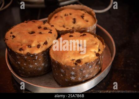 Hausgemachte Panettone, die von Hand hergestellt werden. Stockfoto
