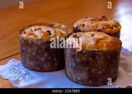 Hausgemachte Panettone, die von Hand hergestellt werden. Stockfoto