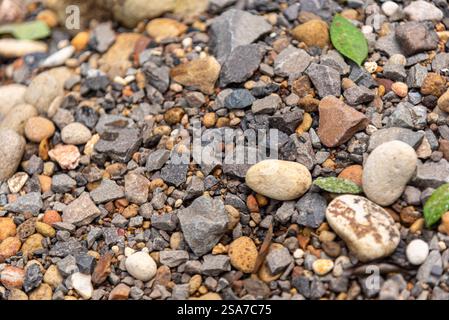 Kieselsteine an einem Flussufer in Brasilien. Stockfoto
