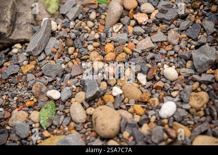 Kieselsteine an einem Flussufer in Brasilien. Stockfoto