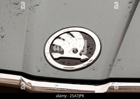 Kopenhagen, Dänemark. Januar 2025. Das Logo von Škoda ist auf einem Auto zu sehen. Quelle: SOPA Images Limited/Alamy Live News Stockfoto