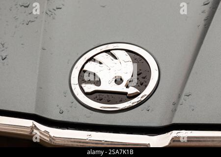 Kopenhagen, Dänemark. Januar 2025. Das Logo von Škoda ist auf einem Auto zu sehen. (Foto: Kristian Tuxen Ladegaard Berg/SOPA Images/SIPA USA) Credit: SIPA USA/Alamy Live News Stockfoto