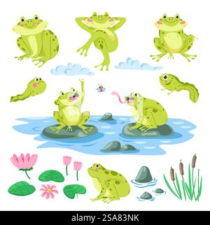 Cartoon Frösche Naturhabitat. Niedliche Amphibien, Kaulquappen, Kröten sitzen auf Steinen und fangen Fliege, Seerosen, Sommer Teich Illustration Set. Schilf und Blumen, Tierwelt. Vektor in abgewickelter Form. Kaulquappen, Frösche, Flora und Fauna Illustrationsset Stock Vektor