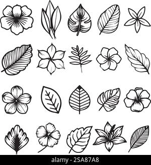 Eine Reihe von Vektorillustrationen mit handgezeichneten botanischen Elementen, einschließlich verschiedener Blumen und Blätter, isoliert auf weißem Hintergrund, in einem schwarzen Stil. Handgezeichnetes Botanisches Elementset Stock Vektor