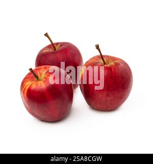Rote Äpfel isoliertes Obstset + Schnittpfad. Äpfel sind auf weißem Hintergrund isoliert. Volle Schärfentiefe. — Foto Stockfoto