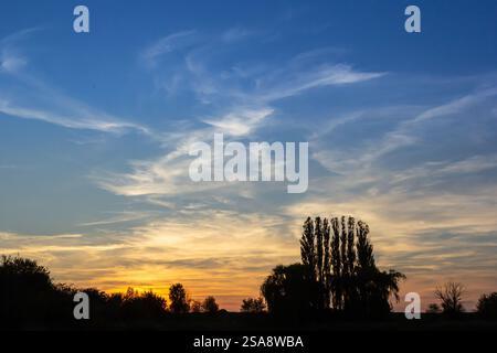Dramatische Wolken erzeugen eine atemberaubende Farbpalette, während die Sonne hinter einer ruhigen Landschaft untergeht und die Silhouetten der Bäume am Vorabend hervorhebt Stockfoto