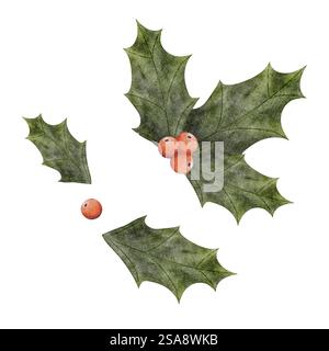 Aquarellset Illustration stechpalme, Beeren, Blatt. Isolierte Elemente auf weißem Hintergrund für Weihnachtskarten, Einladungen, Design, Druck, Feiertage Stockfoto