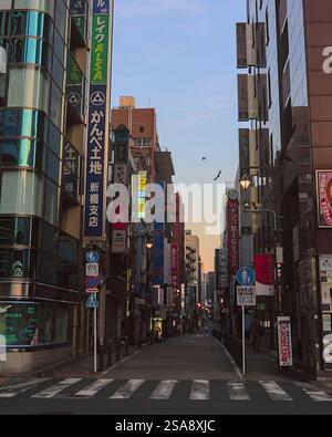 Blick am frühen Morgen auf eine lange und enge Straße im Zentrum von Tokio, gesäumt von farbenfrohen Schildern und mit zwei Krähen, die über ihnen fliegen Stockfoto