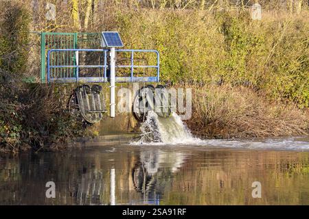 Überschüssiges Wasser strömt aus einem Fluss im Dender bei Aalst in Ostflandern, Belgien. Wassermanagement- und Hochwasserschutzkonzept. Leerzeichen in r kopieren Stockfoto