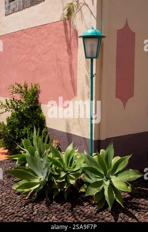 Stillleben im Außenbereich: Agavenpflanzen, grüne Laterne und eine Ecke eines Hauses mit stilvoller Fassade. Volle Sonneneinstrahlung. Canico, Madeira, Portugal. Stockfoto
