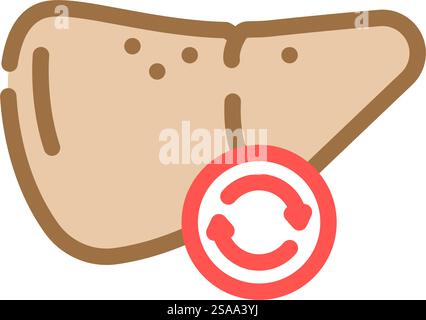 Farbsymbolvektor für Lebertransplantationschirurgie. Lebertransplantationschirurgisches Zeichen. Isolierte Symboldarstellung. Lebertransplantationschirurgie Farb-Symbol-Vektor-Illustration Stock Vektor