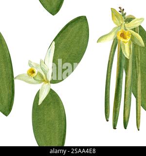 Vanilleblüten und Bohnen Pflanzen nahtloses Muster in Aquarell isoliert auf weißem Hintergrund. Hochwertiges handgezeichnetes Design, perfekt für Gewürzdosen Stockfoto