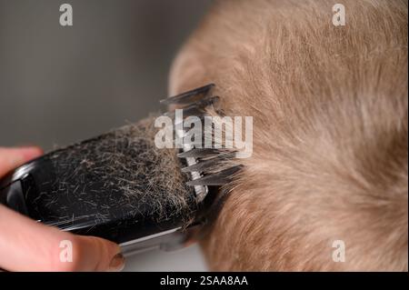 Haarschnitte aus blondem Haar für einen Jungen mit einem Haarschneider, Nahaufnahme. Haarpflegekonzept. Mutter schneidet dem Sohn zu Hause mit einem Haarschneider die Haare. Stockfoto